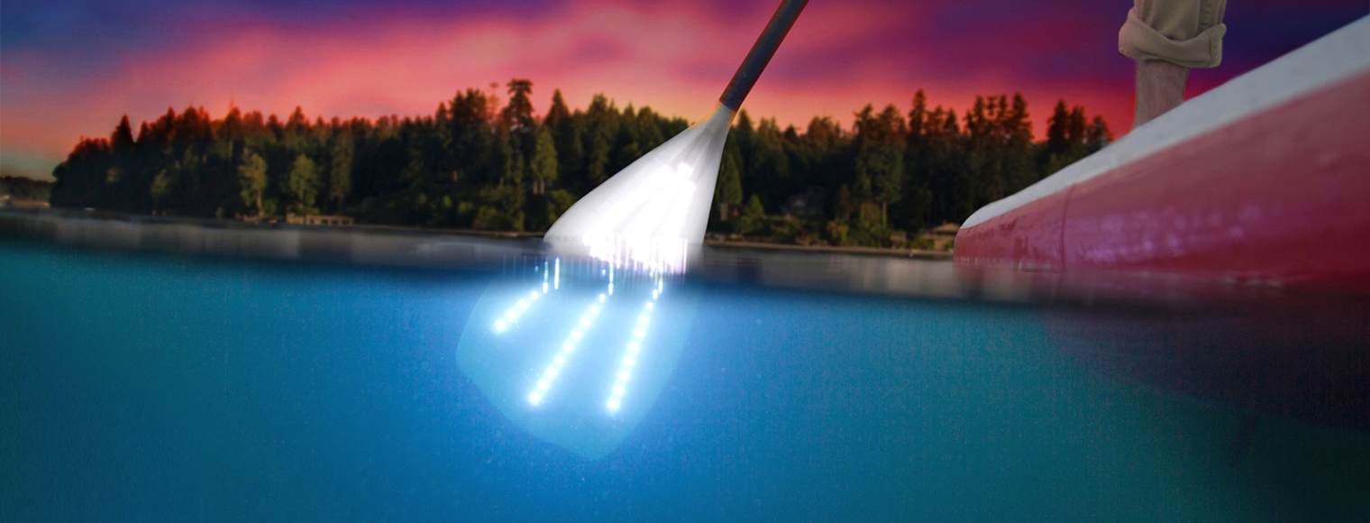 LightSUP at Sundown Illuminated Night Paddle at Cherry Beach
